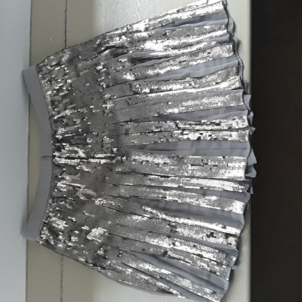 Sequin Pleated Skirt